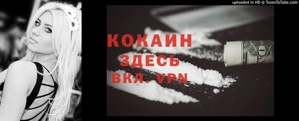 дмт Алексин