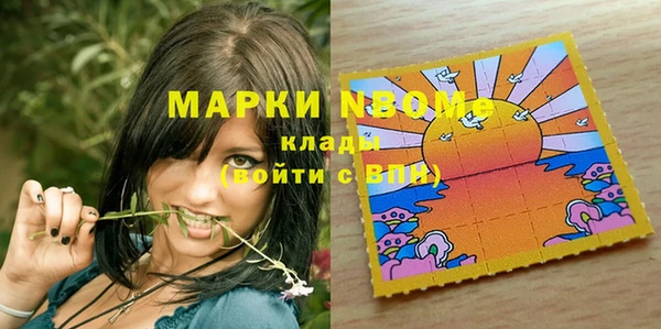 индика Абинск