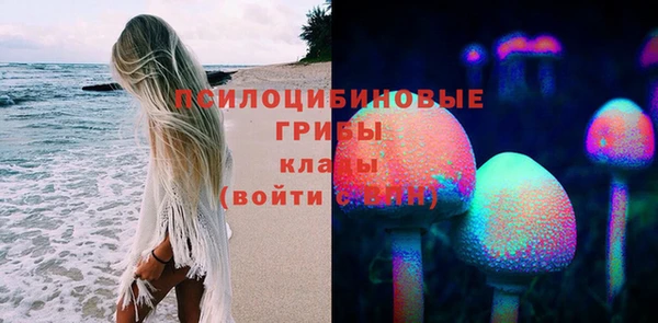 дмт Алексин