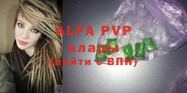 индика Абинск