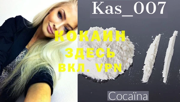 индика Абинск