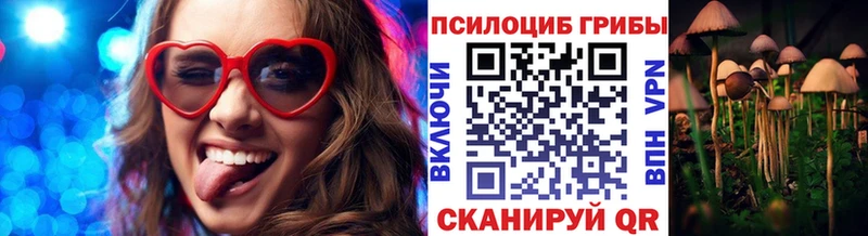 ОМГ ОМГ рабочий сайт  Зеленокумск  Псилоцибиновые грибы прущие грибы 
